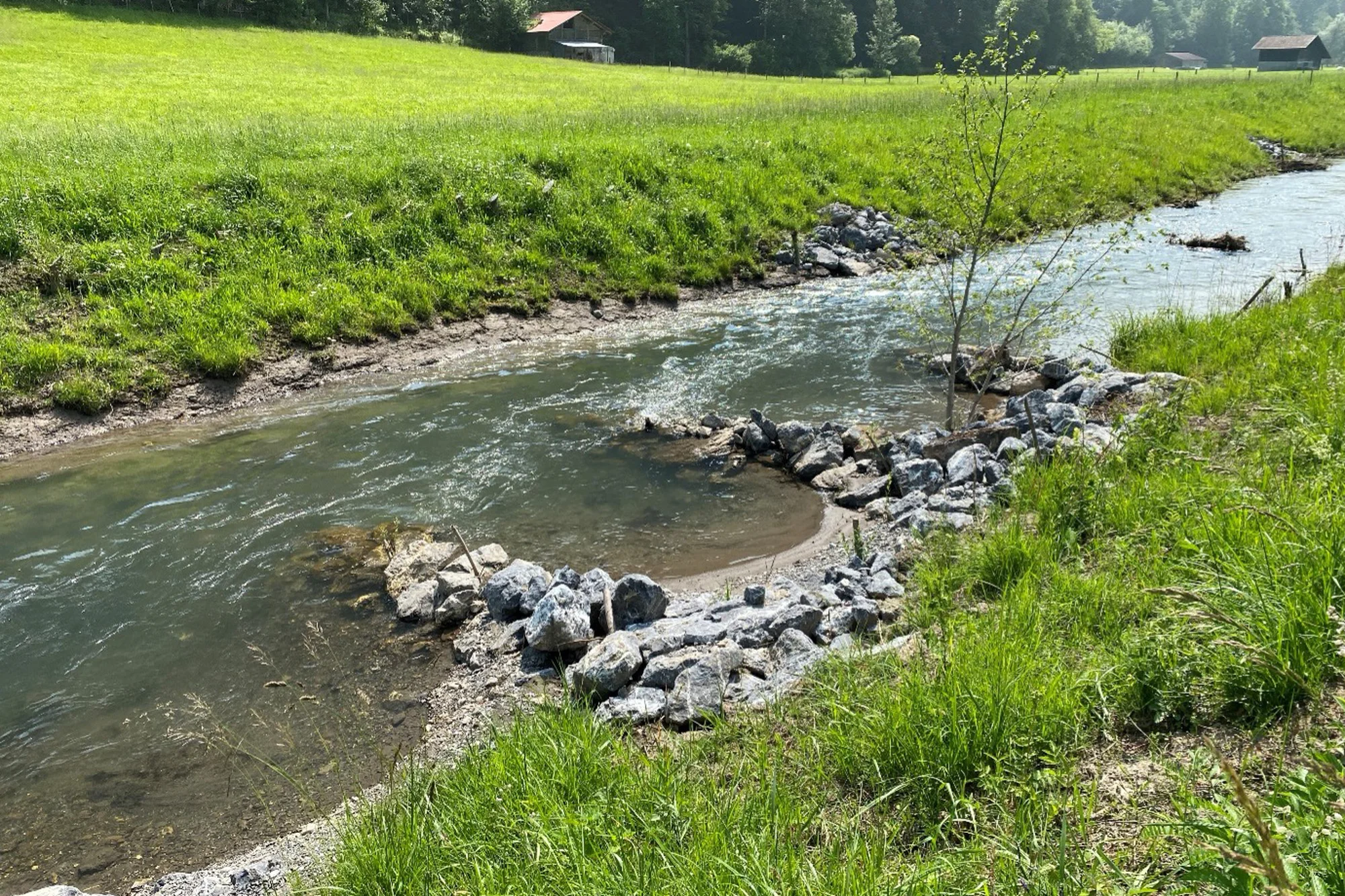 Revitalisierung Musterstrecke Aare-Binnenkanal