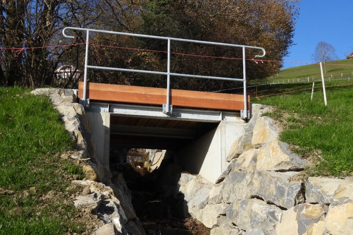 Hochwasserschutz Dornerebächli
