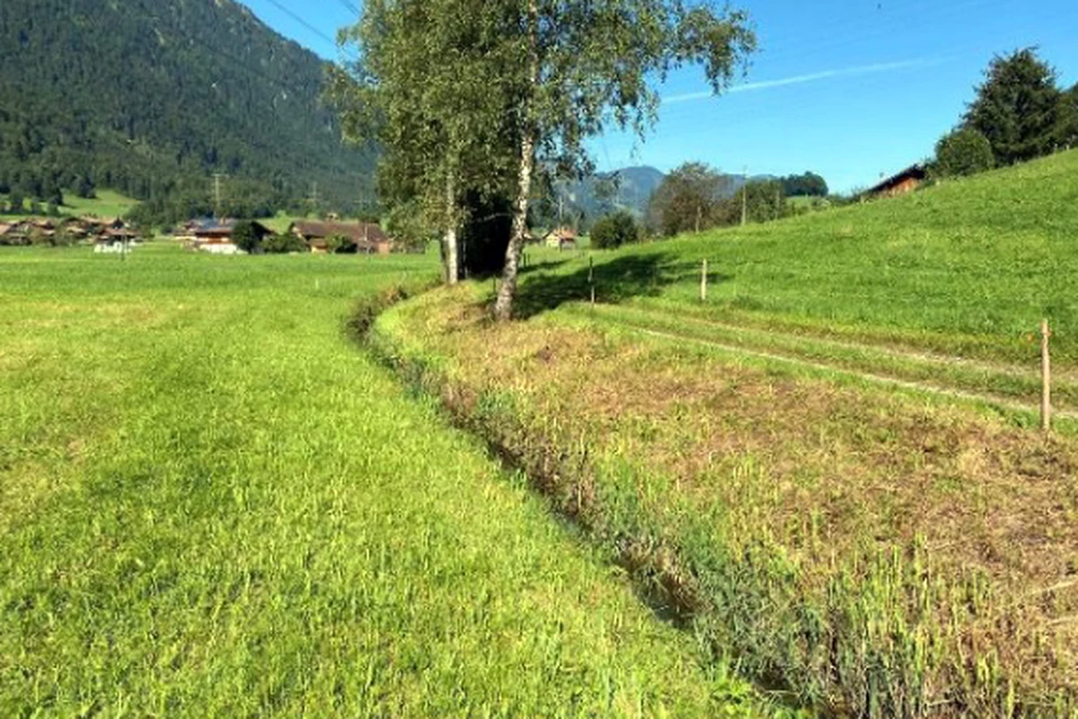 Revitalisierung Laubbach