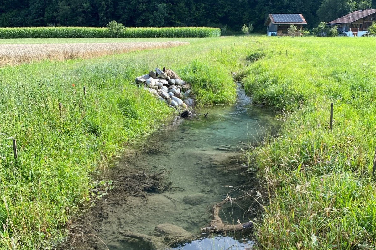 Revitalisierung Mattenbächli