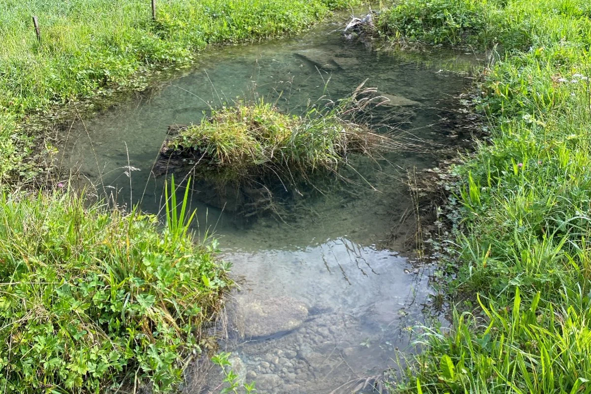 Revitalisierung Mattenbächli