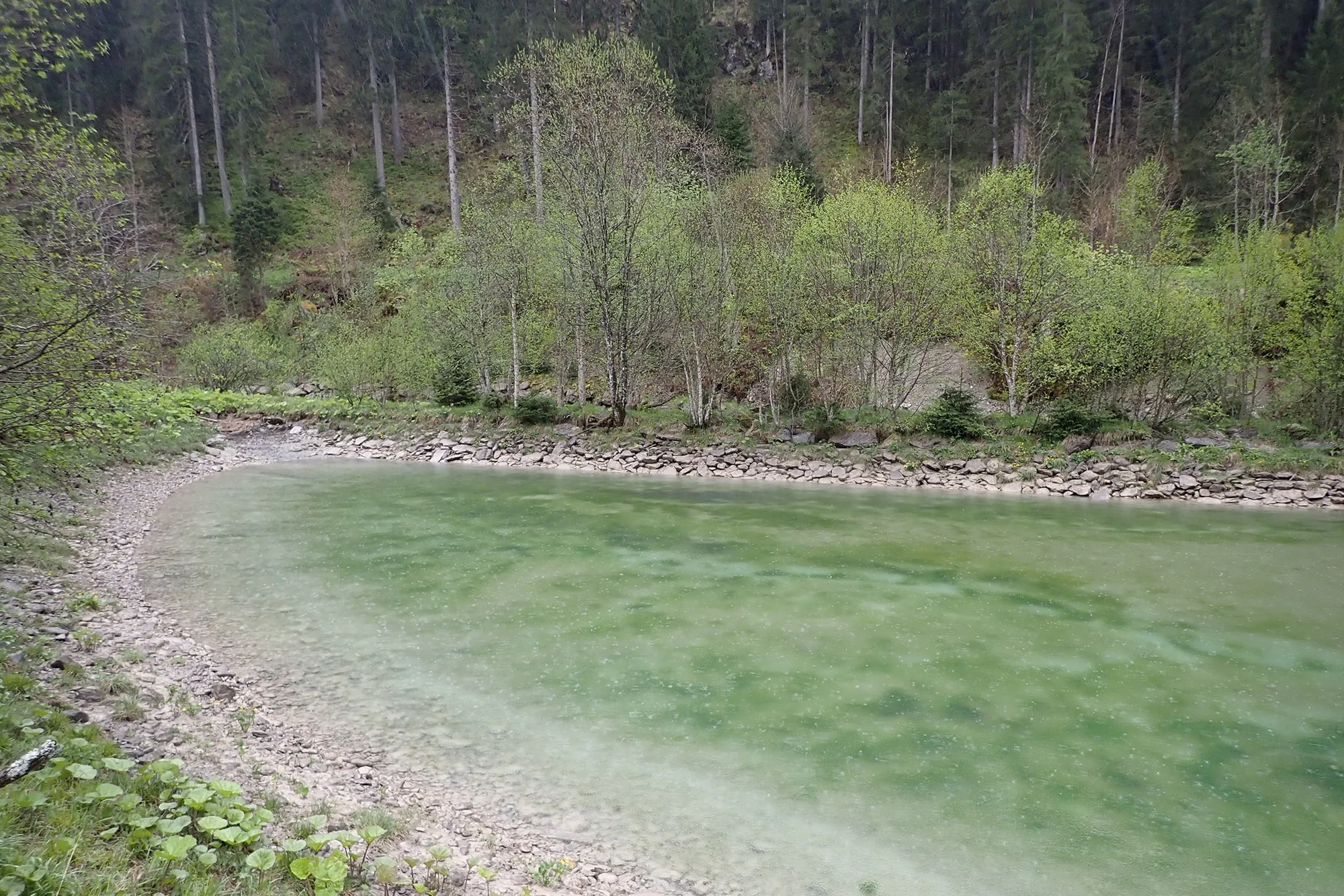 Revitalisierung Gadmerwasser Fuhren