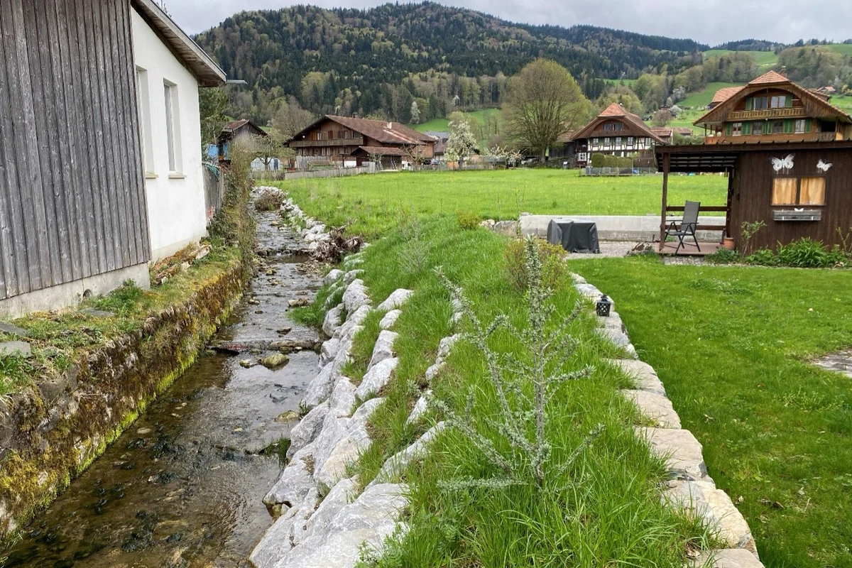 Revitalisierung Spengelibach