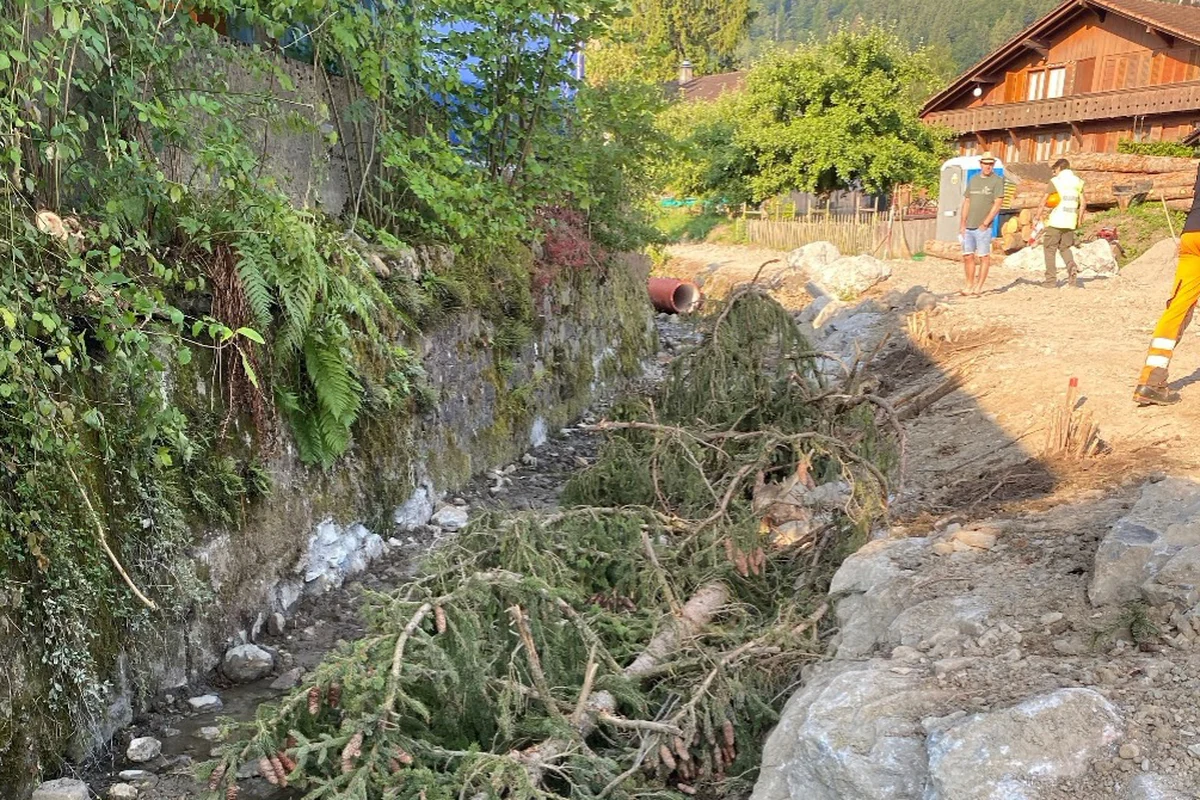 Revitalisierung Spengelibach
